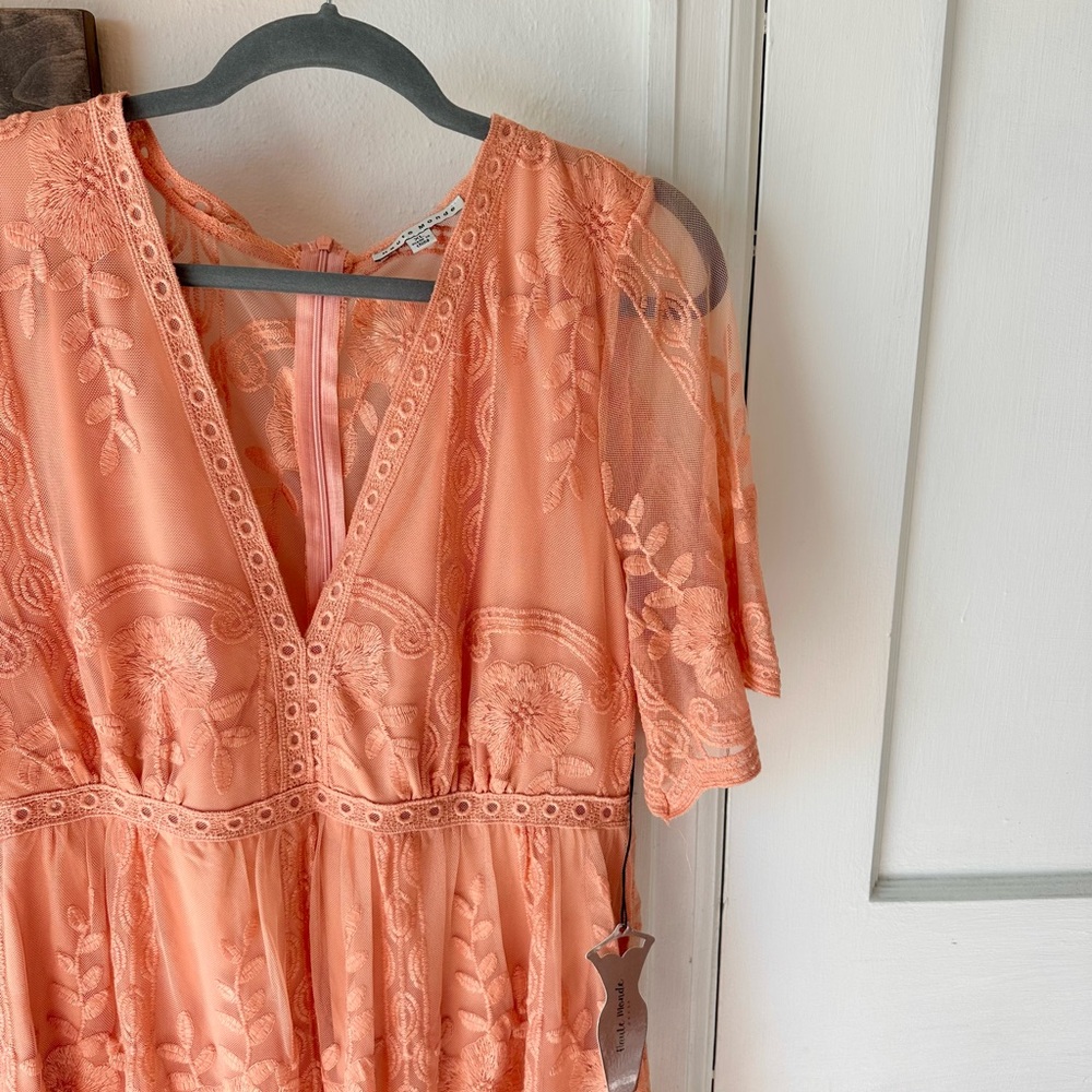 Elegant Lace Peach Dress